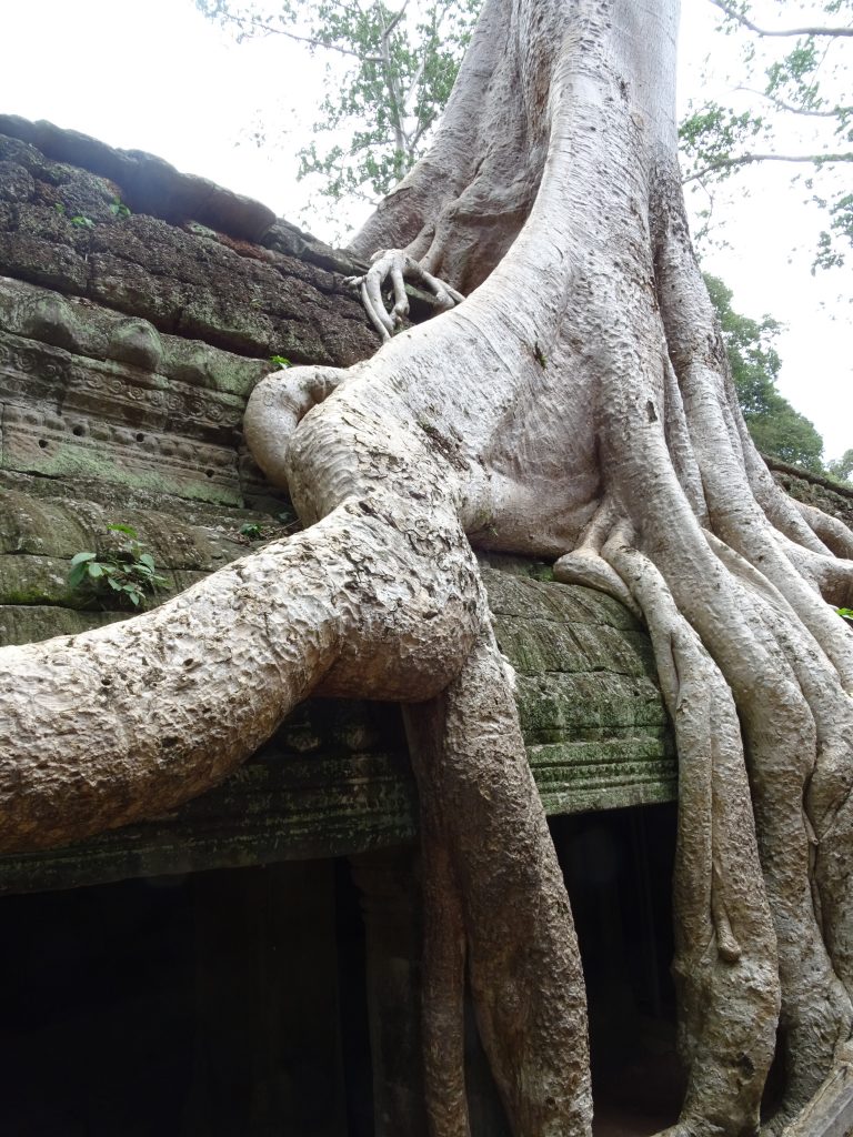 Émotions partagées : des lieux DSC04877 768x1024