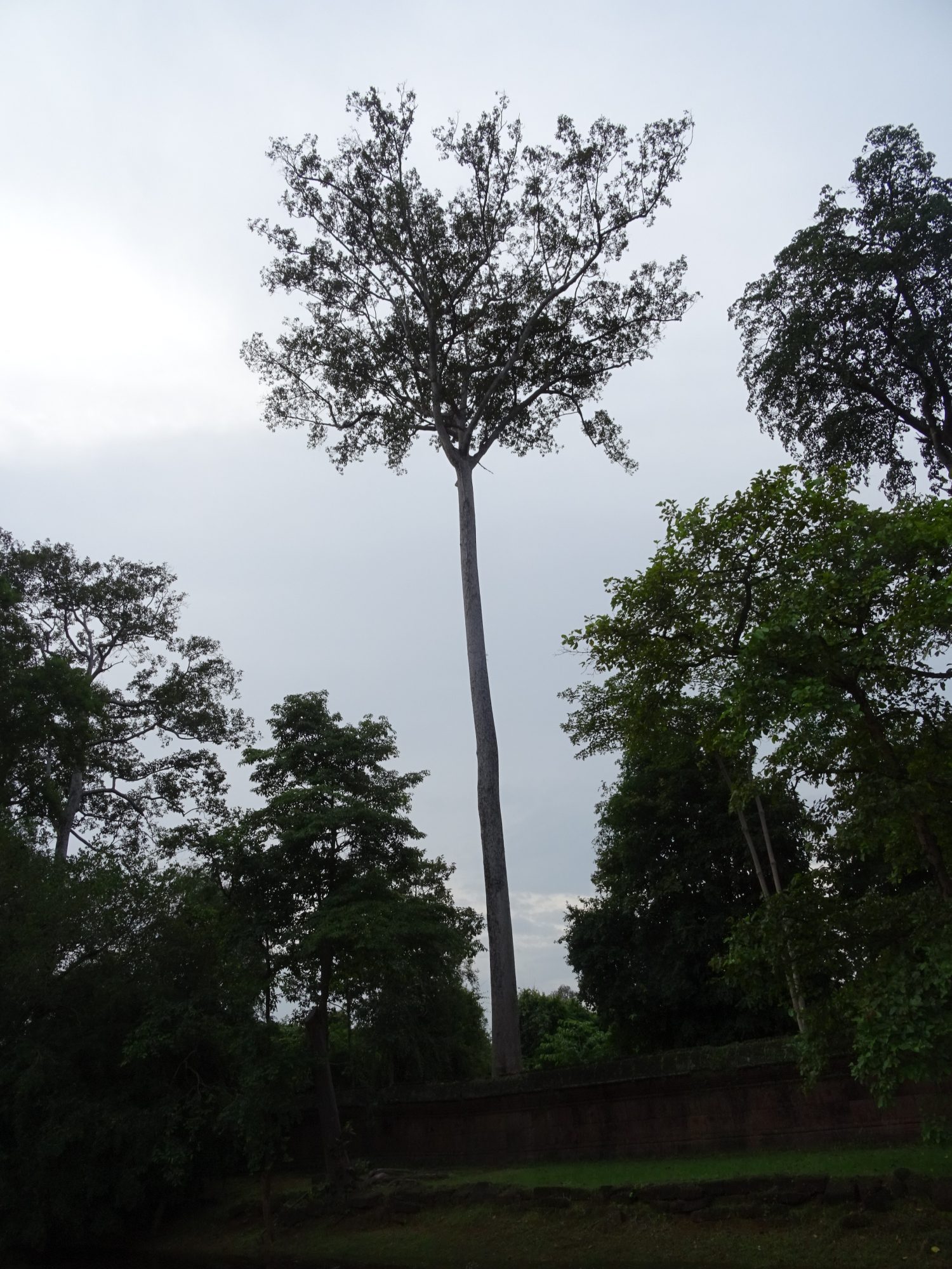 Koh Ker : La Cité Perdue des Rois Khmers dsc05077
